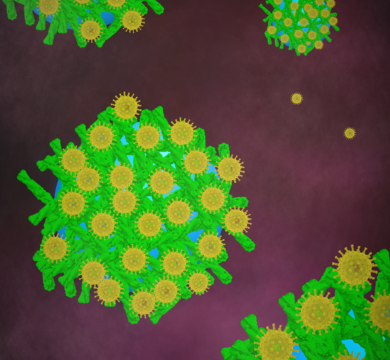 Das Bild zeigt mit Peptid-Nanofibrillen beschichtete Magnetkügelchen, die HIV-Partikel auf ihrer Oberfläche binden.